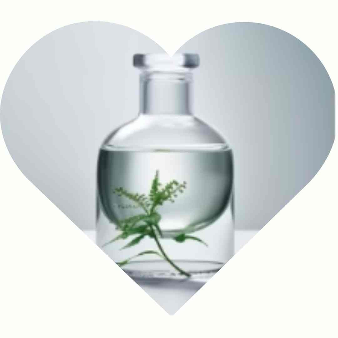 Glycérine végétale: les bienfaits sur les lèvres